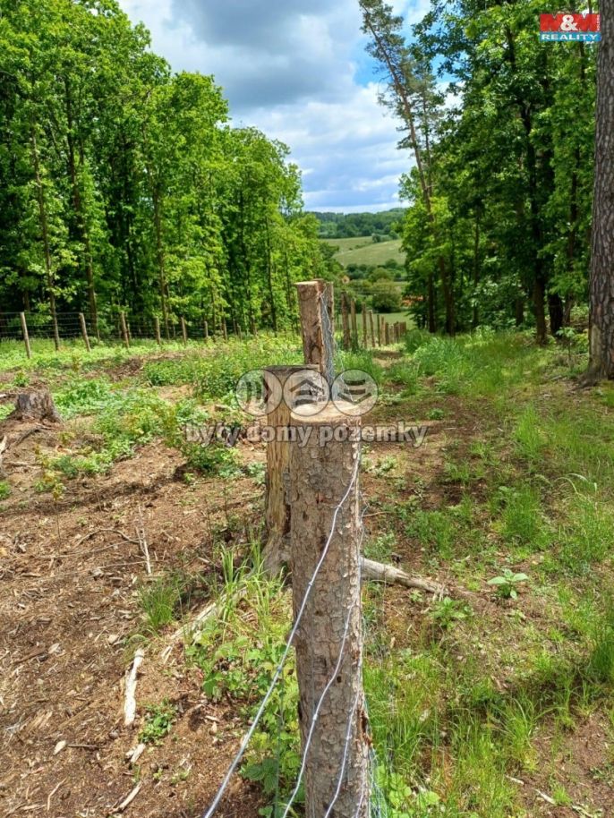 Prodej, Les, Hrazany