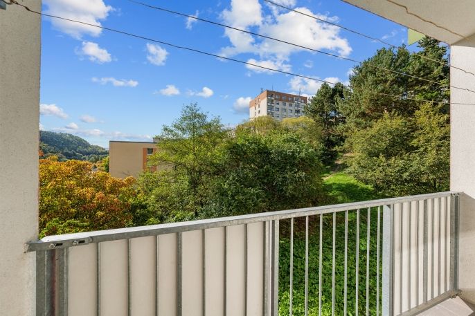 Pronájem, Byt 3+1, Děčín