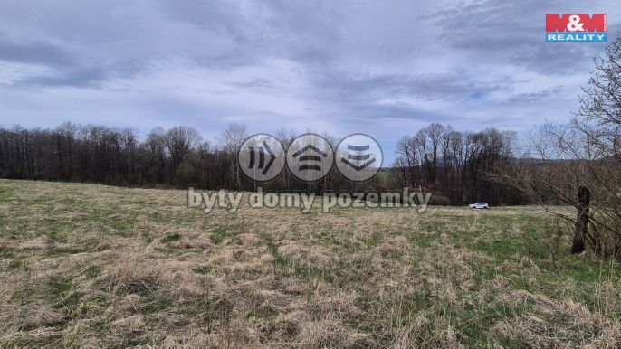 Prodej, Louka, Česká Kamenice