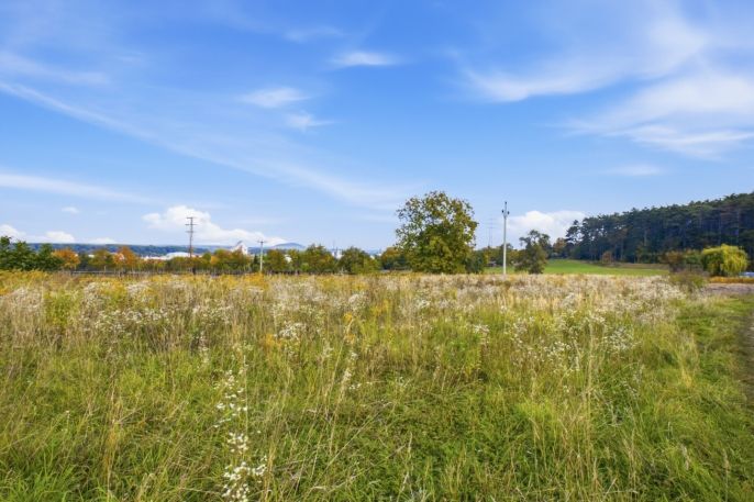 Prodej, Zahrada, Roudnice nad Labem