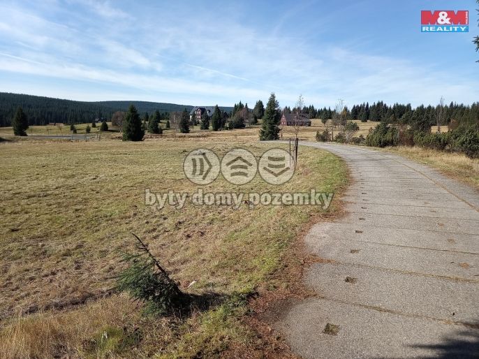 Prodej, Louka, Kořenov