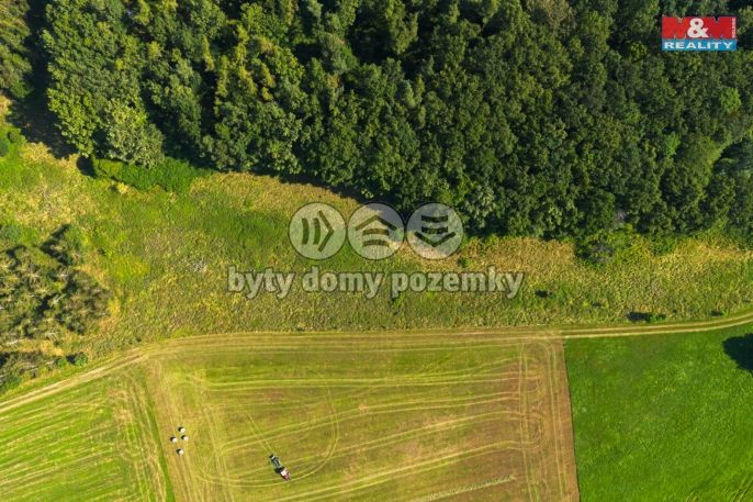Prodej, Zemědělská usedlost, Hracholusky