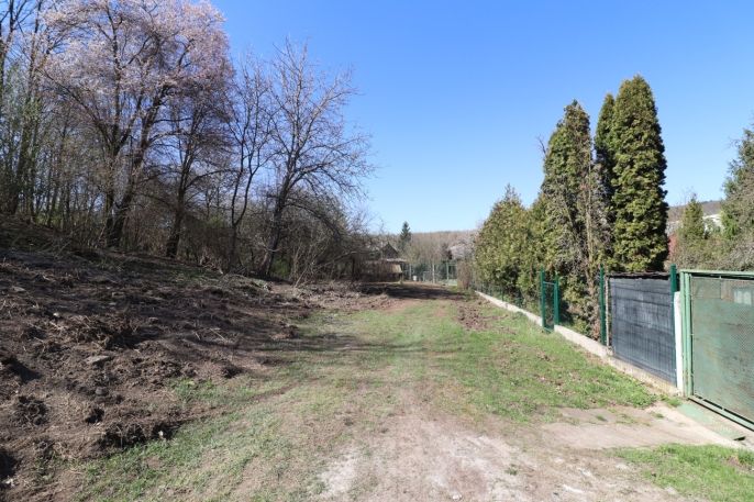 Prodej, Zahrada, Most