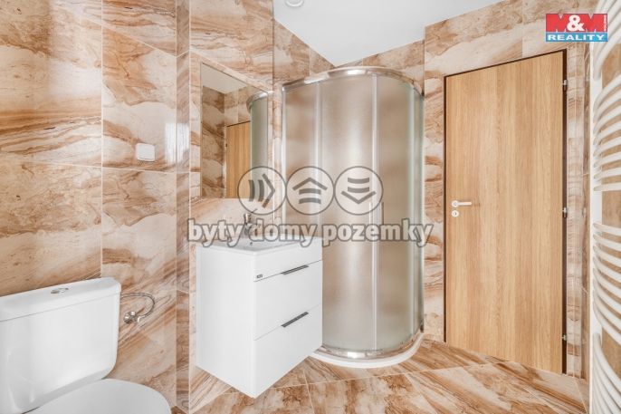 Prodej, Hotel, penzion, Borušov