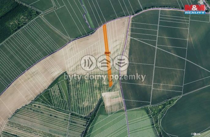 Prodej, Pole, Stavěšice