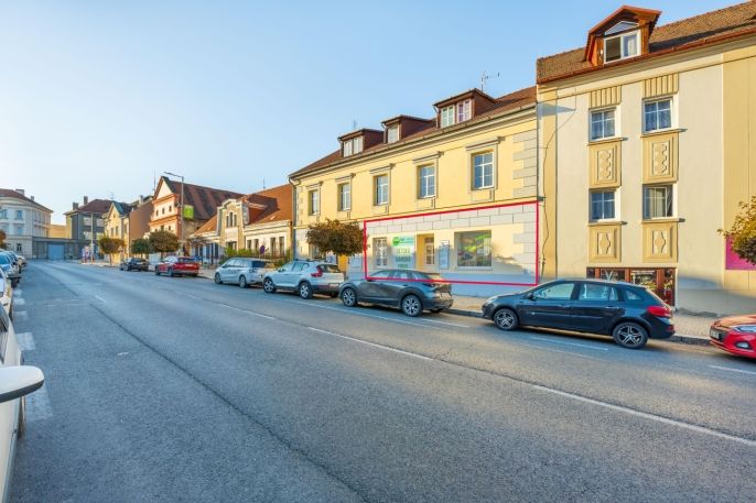 Pronájem, Obchod a služby, Slaný