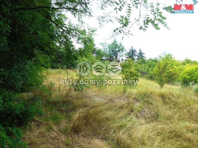 Prodej, Zahrada, Hoštka