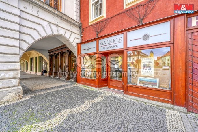 Pronájem, Obchod a služby, Žatec