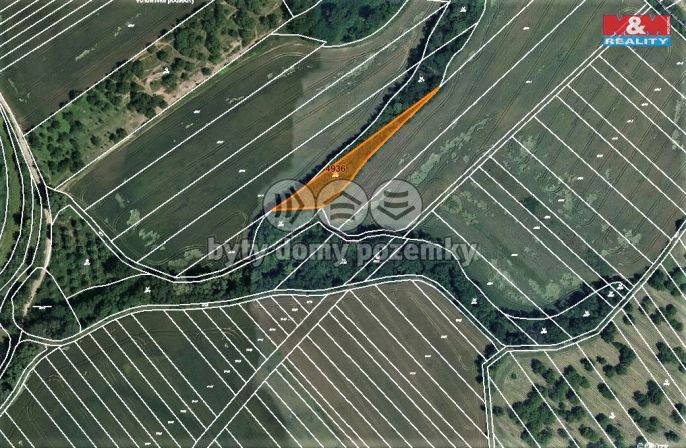 Prodej, Les, Němčany