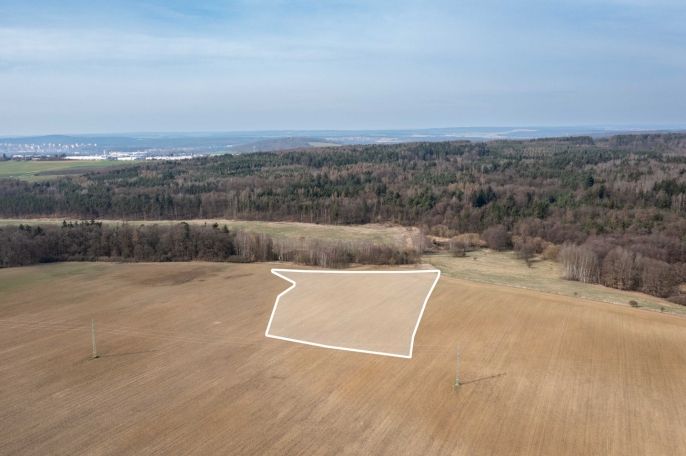 Prodej, Pole, Plzeň