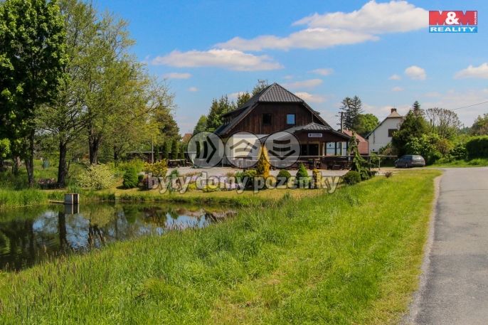 Prodej, Hotel, penzion, Černá Voda