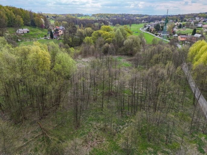 Prodej, Pole, Dětmarovice