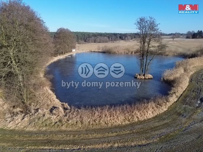 Prodej, Vodní plocha, Ratiboř