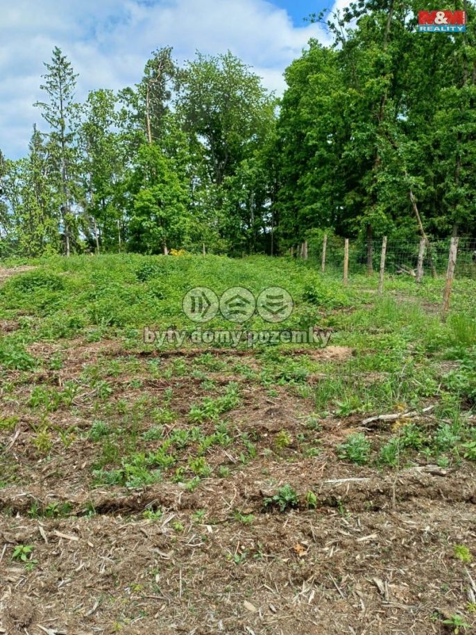 Prodej, Les, Hrazany