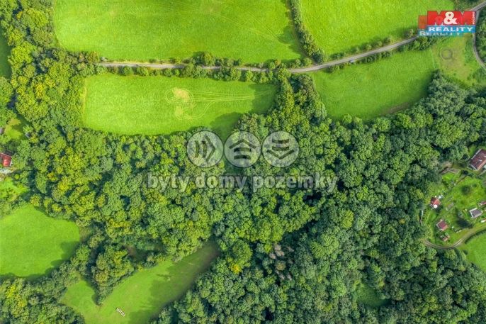 Prodej, Les, Homole u Panny