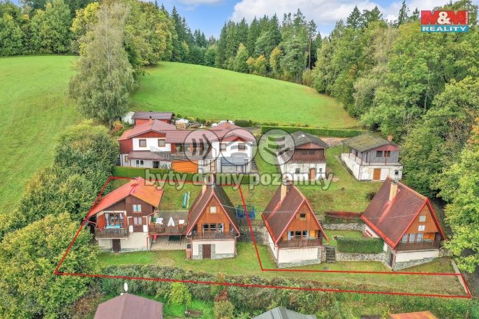 Prodej, Hotel, penzion, Pastviny