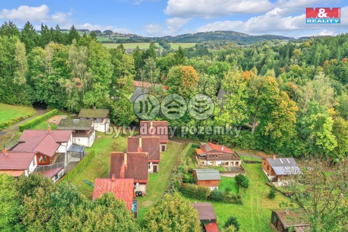 Prodej, Hotel, penzion, Pastviny