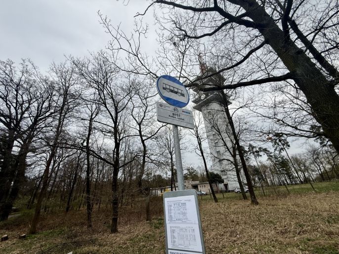 Prodej, Les, Býšť