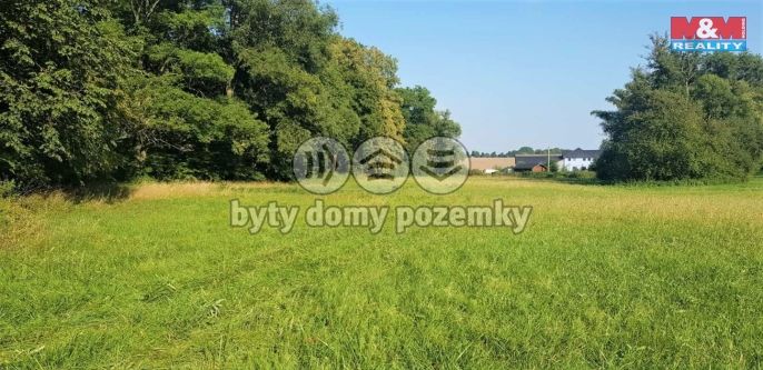 Pronájem, Zahrada, Opava