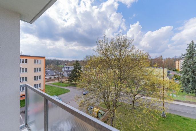 Prodej, Byt 2+1, Cheb