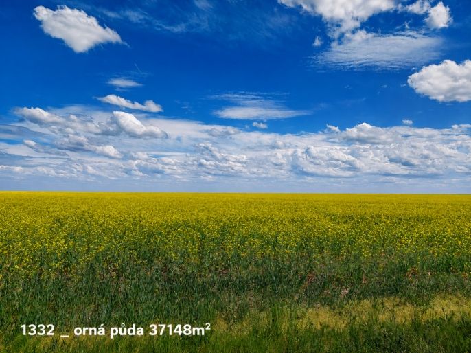 Prodej, Ostatní, Pňov-Předhradí