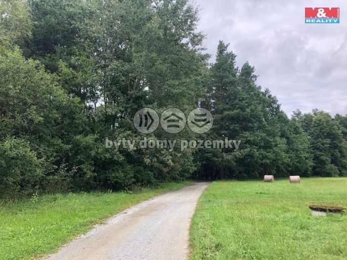 Prodej, Vodní plocha, Dvory nad Lužnicí