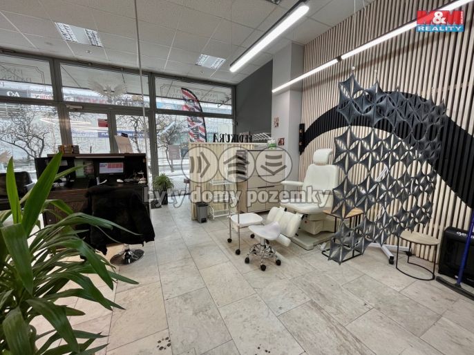 Pronájem, Obchod a služby, Most