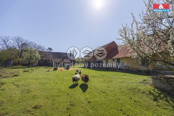 Prodej, Pozemek k bydlení, Suchdol