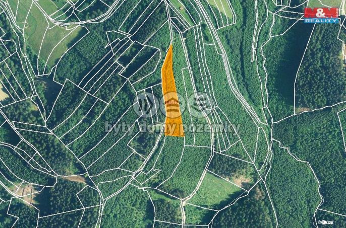 Prodej, Les, Lhota u Vsetína