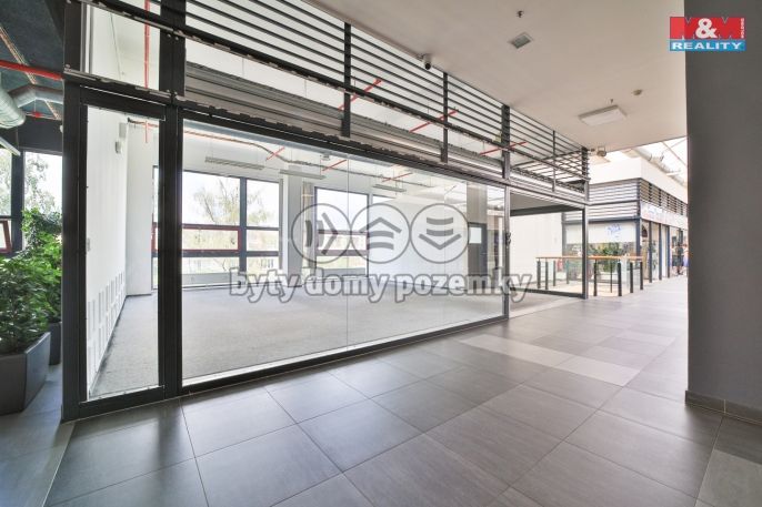 Pronájem, Obchod a služby, Plzeň