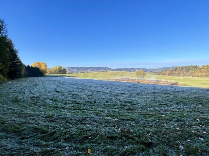Prodej, Louka, Česká Třebová