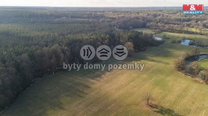 Prodej, Pole, Týniště nad Orlicí