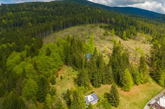 Prodej, Louka, Harrachov