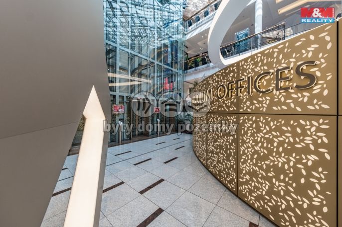 Pronájem, Kancelářský prostor, Praha