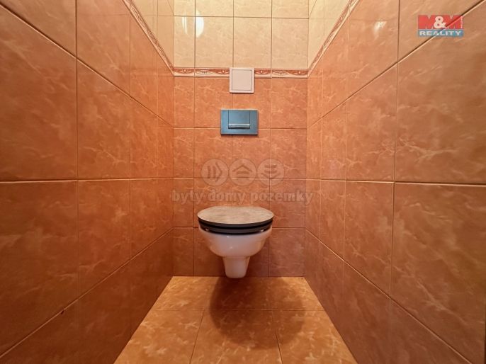 Pronájem, Rodinný dům, Libišany