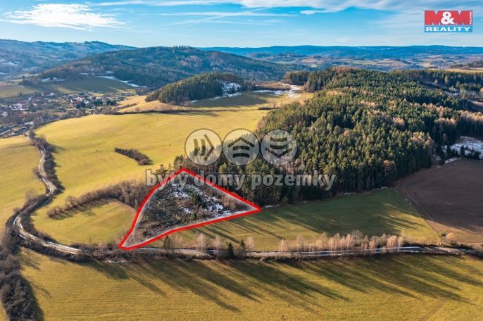 Prodej, Les, Malenice