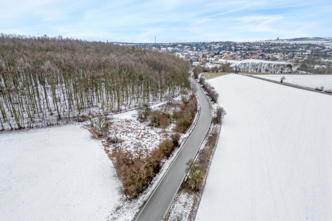 Prodej, Zahrada, Pchery