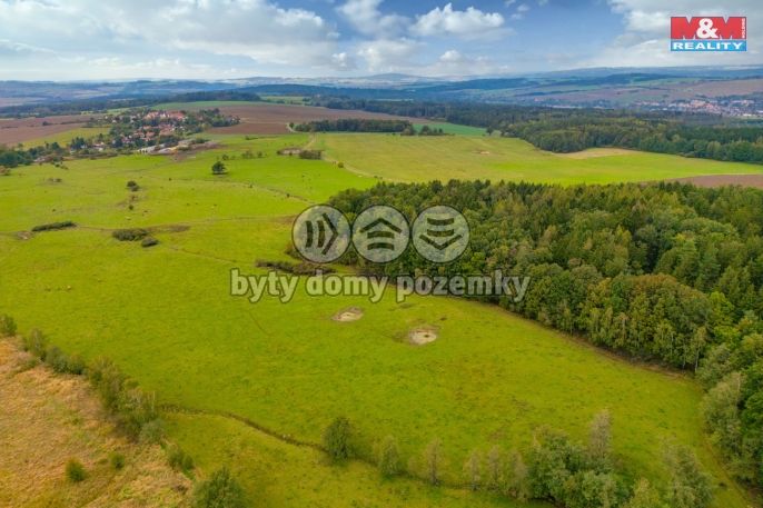 Prodej, Louka, Spálené Poříčí