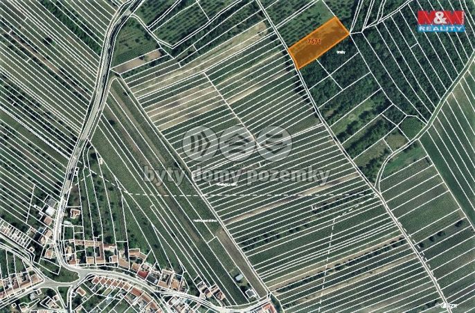 Prodej, Ovocný sad, Kobylí