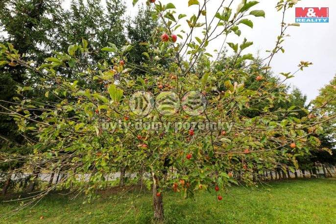 Prodej, Pozemek k bydlení, Štichov