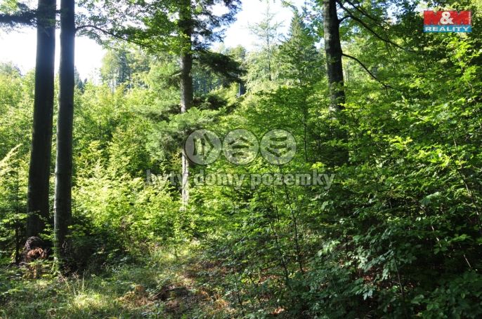 Prodej, Ostatní, Nýdek