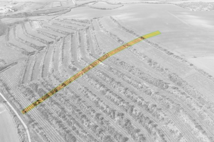 Prodej, Vinice, Morkůvky