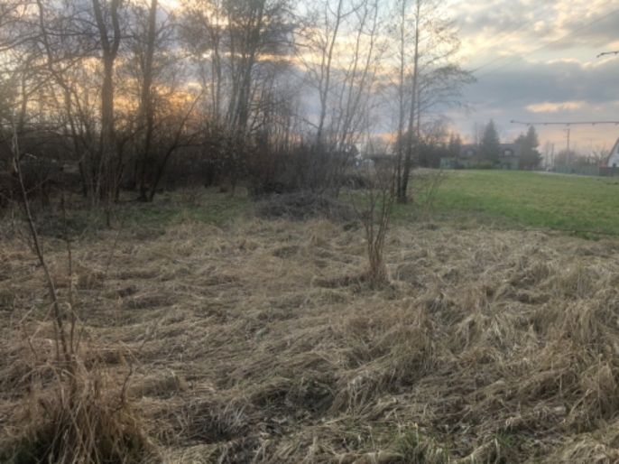 Prodej, Louka, Horní Suchá