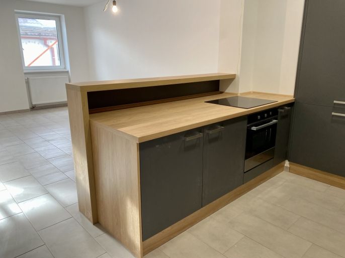 Pronájem, Byt 1+kk, Louny