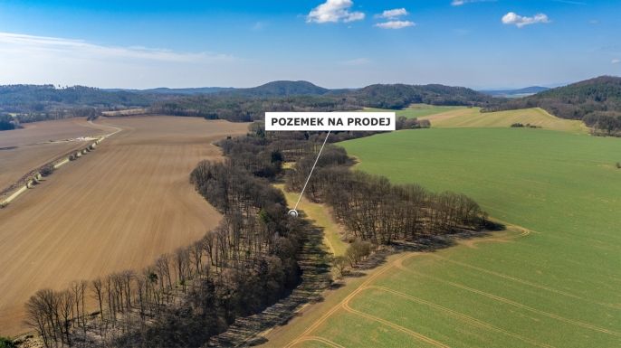 Prodej, Louka, Tachov