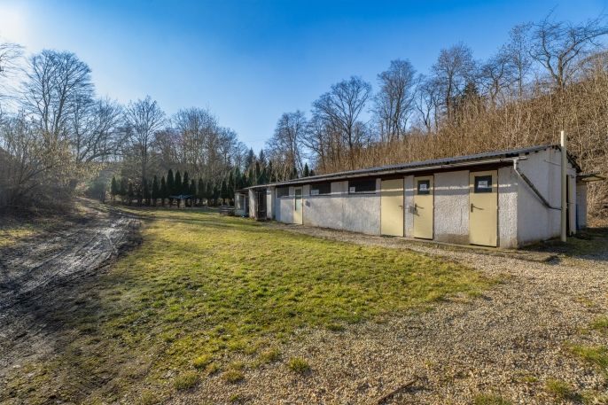 Prodej, Hotel, penzion, Mšeno