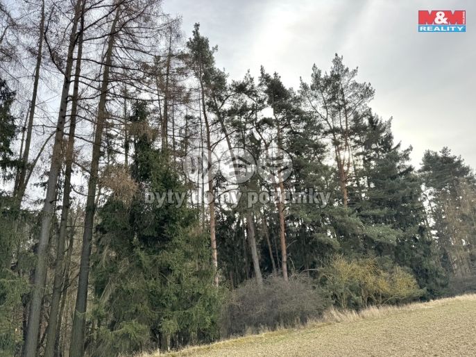 Prodej, Chalupa, Trhový Štěpánov