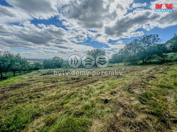 Prodej, Zahrada, Třebenice