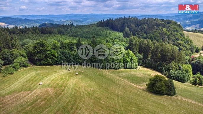 Prodej, Louka, Prlov