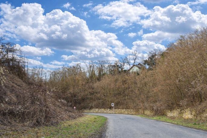 Prodej, Zahrada, Hoštka